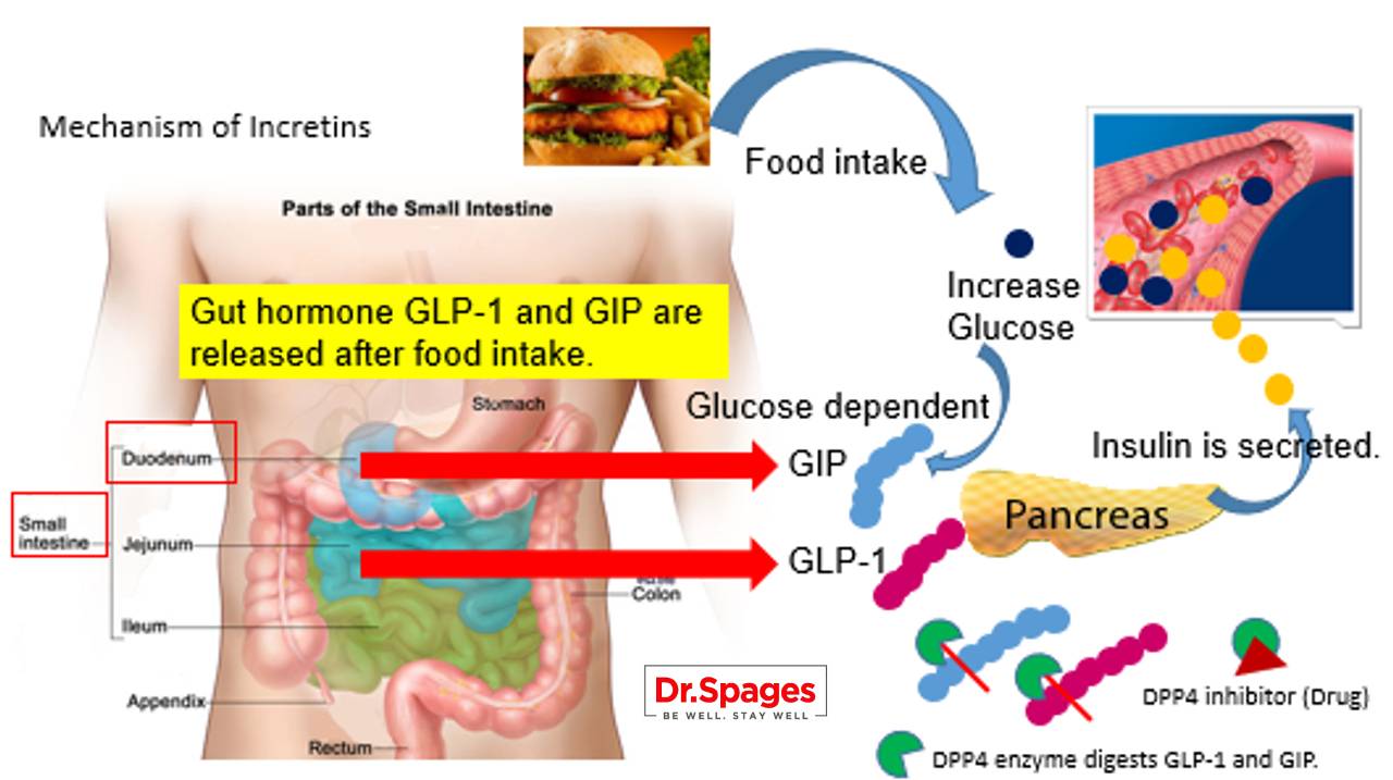 Glucagon-Like Peptide-1 Receptor Agonists in Reversing Diabetes