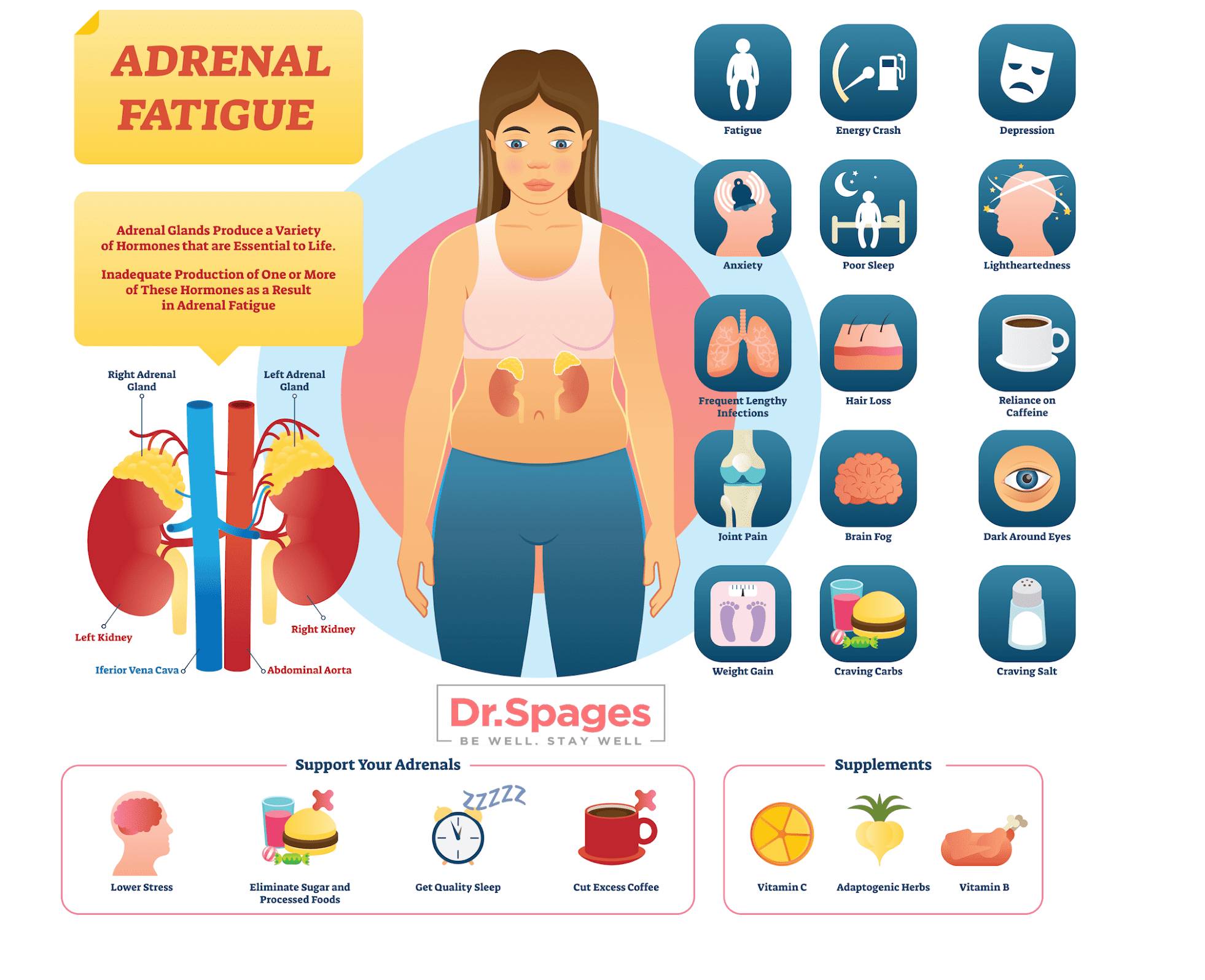 Adrenal Fatigue